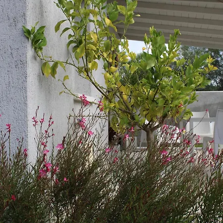 Guest house Lido Del Faro *