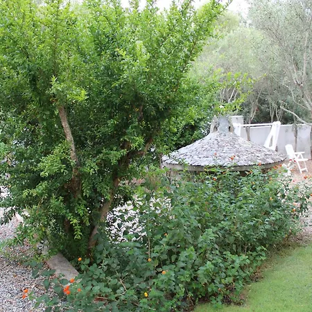 Lido Del Faro أولبيا