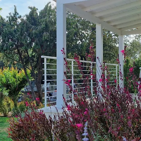 Lido Del Faro Guest house Olbia