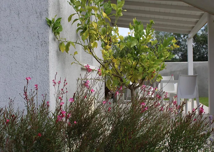 Vendégház Lido Del Faro 4*