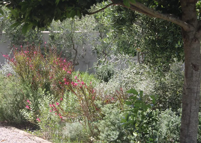 Vendégház Lido Del Faro