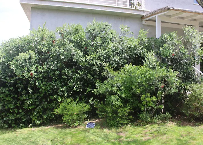 Vendégház Lido Del Faro